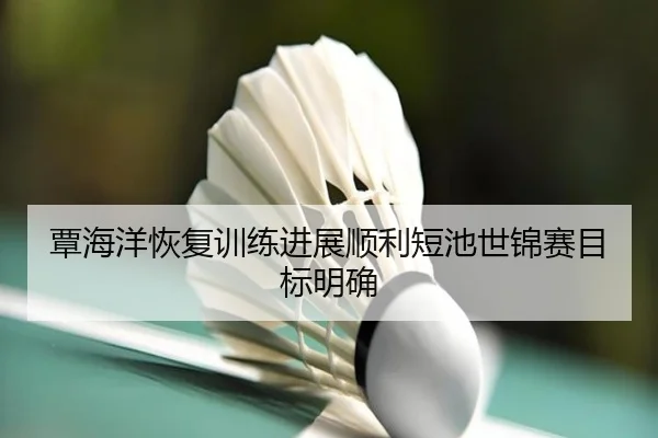 覃海洋恢复训练进展顺利短池世锦赛目标明确